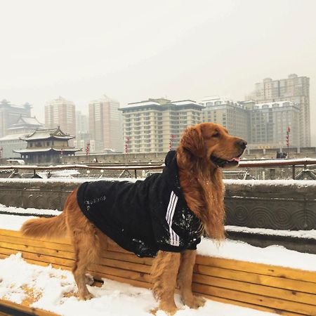 Jano'S Backpackers Xi'An Vandrerhjem Xi'an  Eksteriør bilde