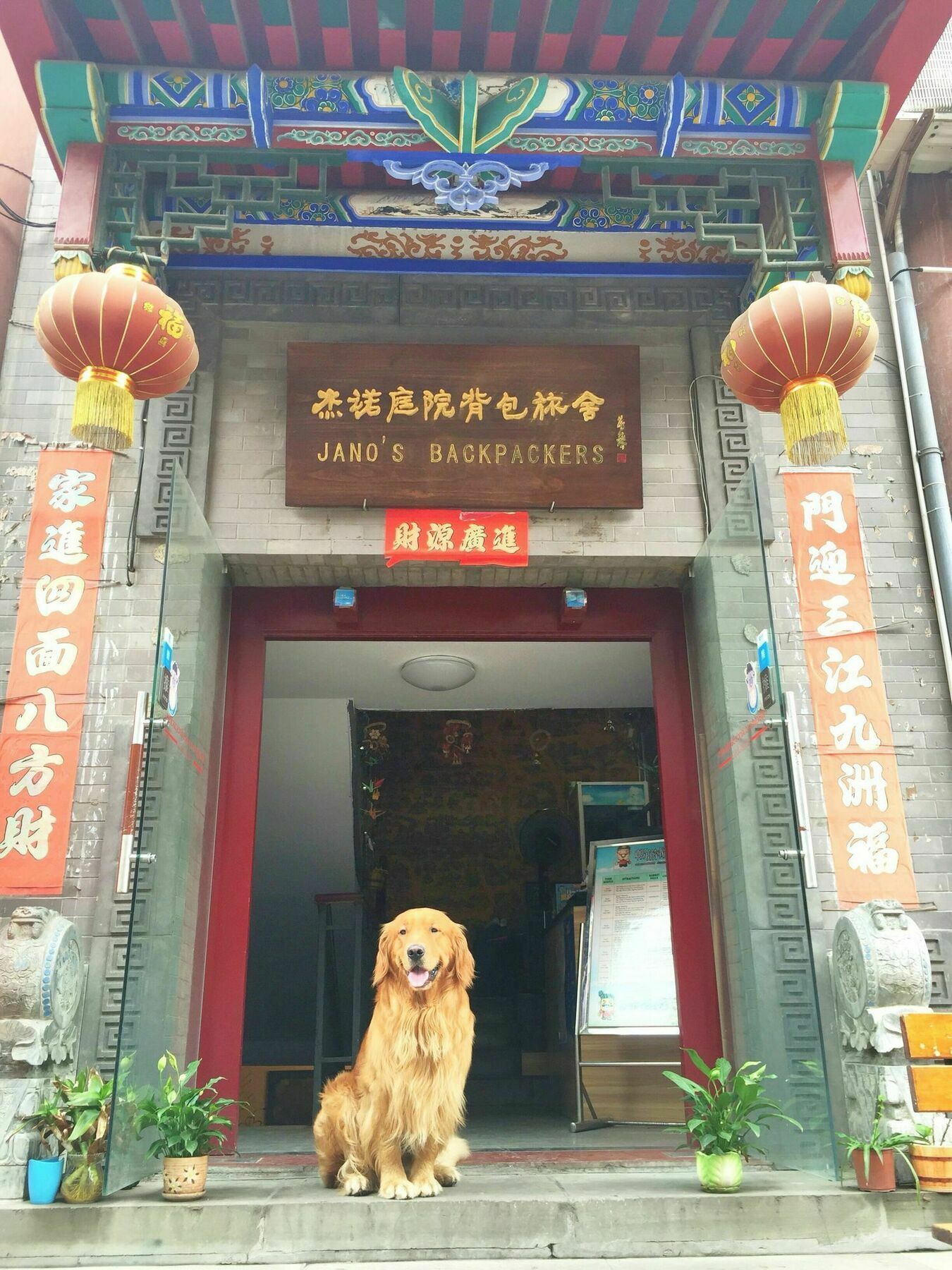 Jano'S Backpackers Xi'An Vandrerhjem Xi'an  Eksteriør bilde